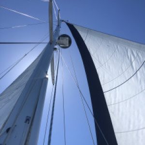 Profile photo of Katrin Spirig